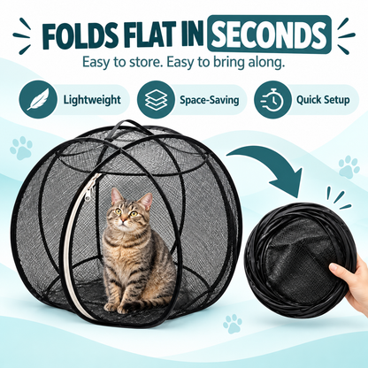 CatWander™